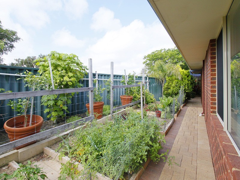 7 Birnam Court, Yanchep WA 6035