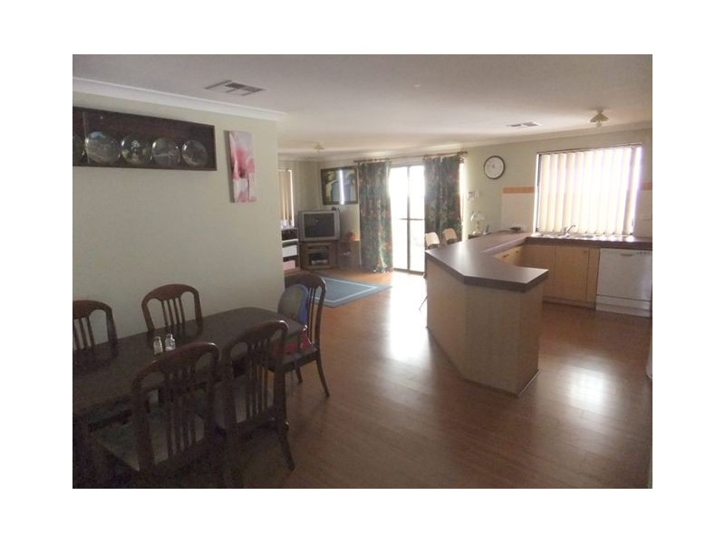 16 Upham Brace, Butler WA 6036