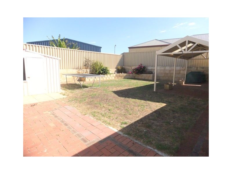 16 Upham Brace, Butler WA 6036