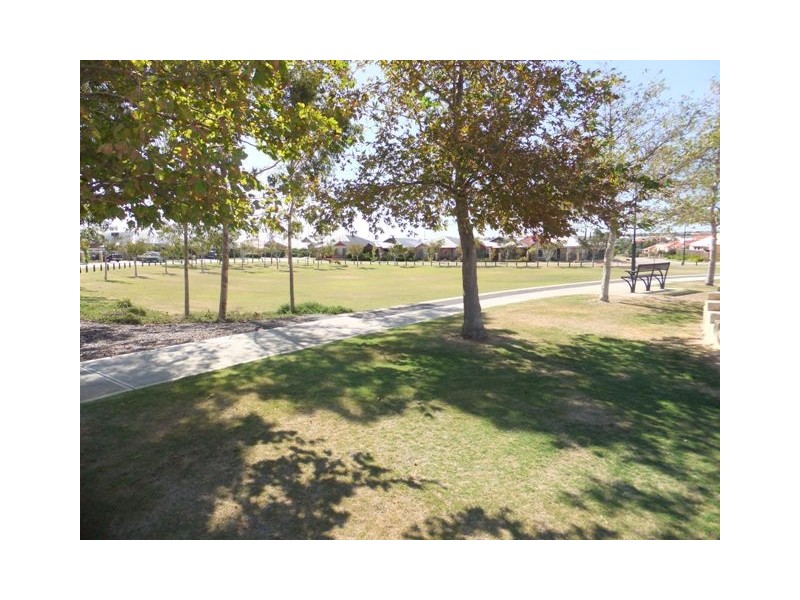 16 Upham Brace, Butler WA 6036