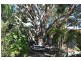 11  Gumblossom Way, Quinns Rocks WA 6030
