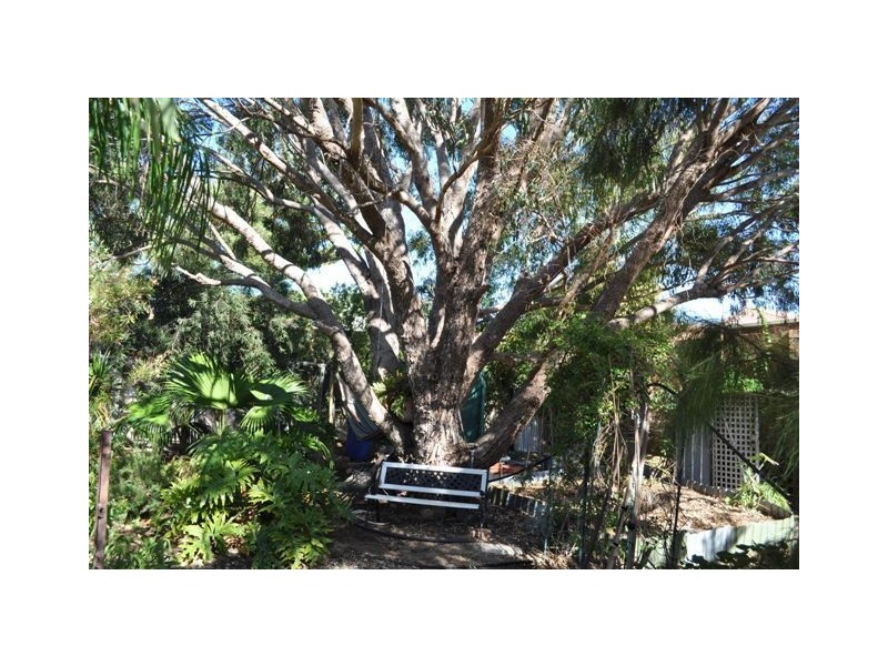 11  Gumblossom Way, Quinns Rocks WA 6030