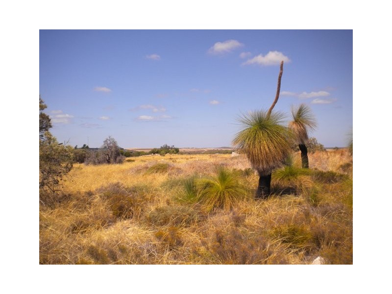 28 Zamia Place, Gabbadah WA 6041