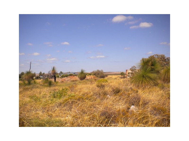 28 Zamia Place, Gabbadah WA 6041