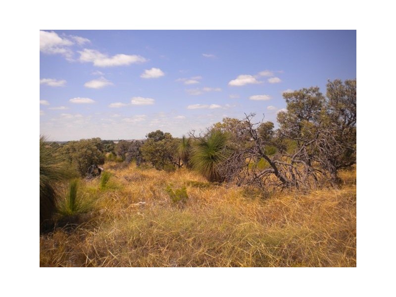 28 Zamia Place, Gabbadah WA 6041