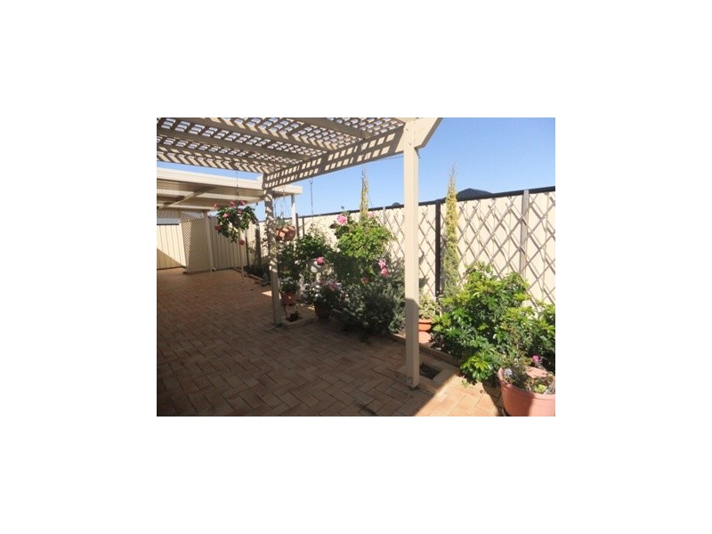 24 Elmhurst Drive, Clarkson WA 6030