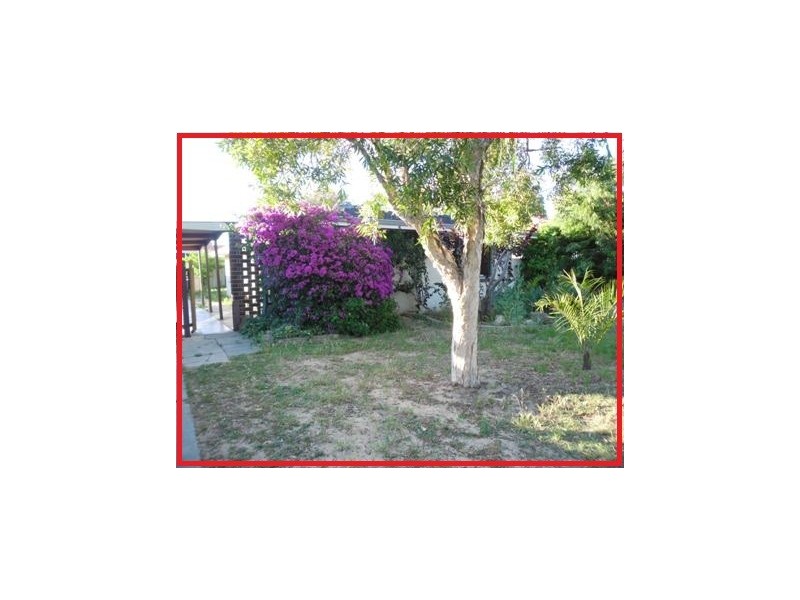 12 Spinaway Street, Craigie WA 6025