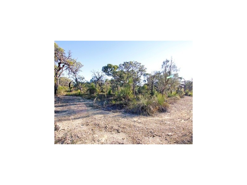 66 Turquoise Loop, Banksia Grove WA 6031