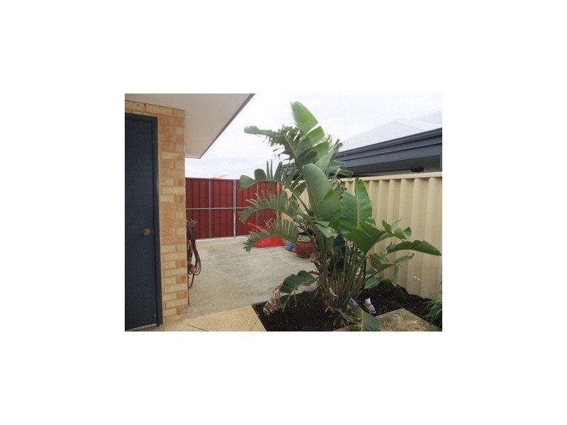 91 Homebush Drive, Butler WA 6036