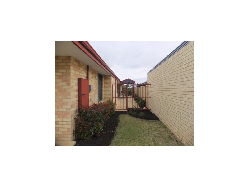 91 Homebush Drive, Butler WA 6036