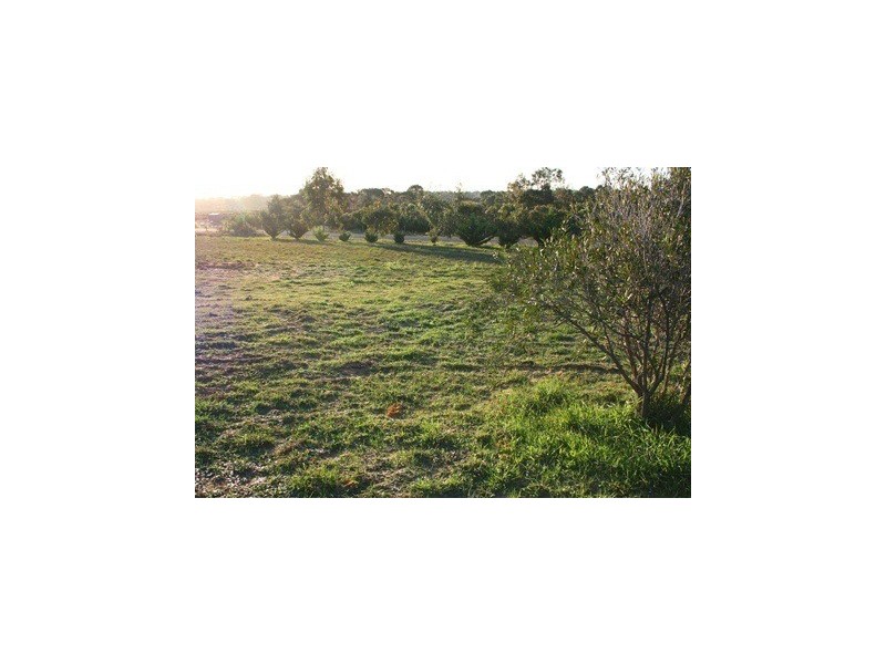 191 Darch Trail, Gabbadah WA 6041