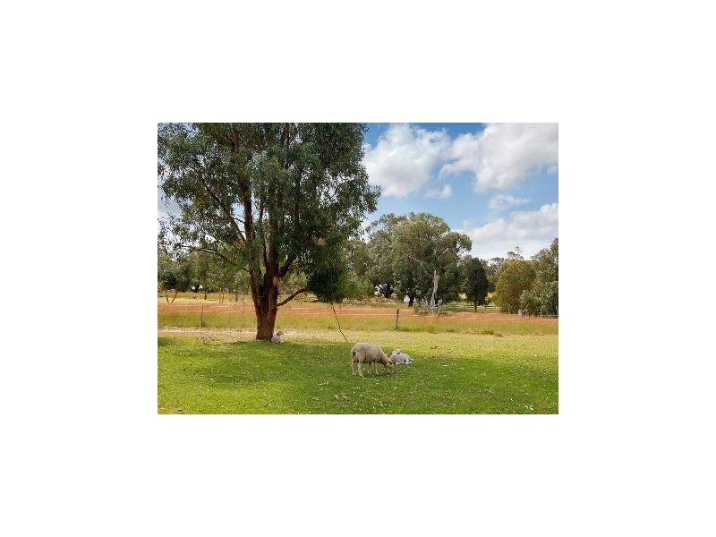 3 Countryside Drive, Two Rocks WA 6037