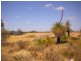 28 Zamia Place, Gabbadah WA 6041