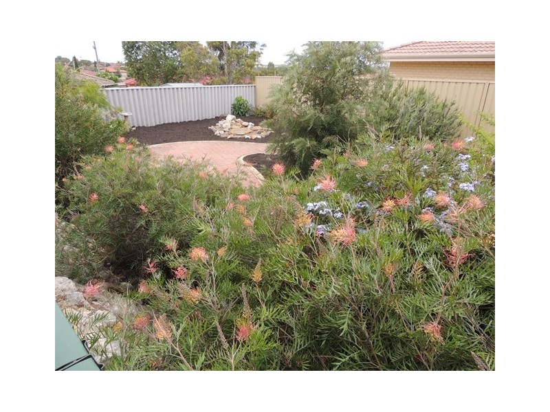 8 Audax Ct, Merriwa WA 6030