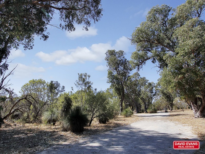 62 Bushwood Follow, Two Rocks WA 6037