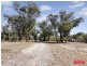 62 Bushwood Follow, Two Rocks WA 6037