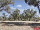 62 Bushwood Follow, Two Rocks WA 6037