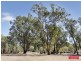 62 Bushwood Follow, Two Rocks WA 6037