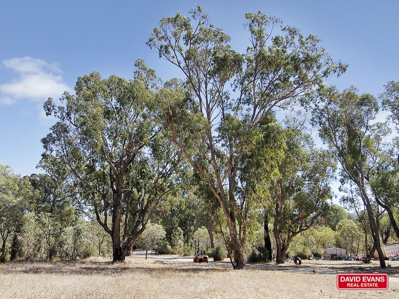 62 Bushwood Follow, Two Rocks WA 6037