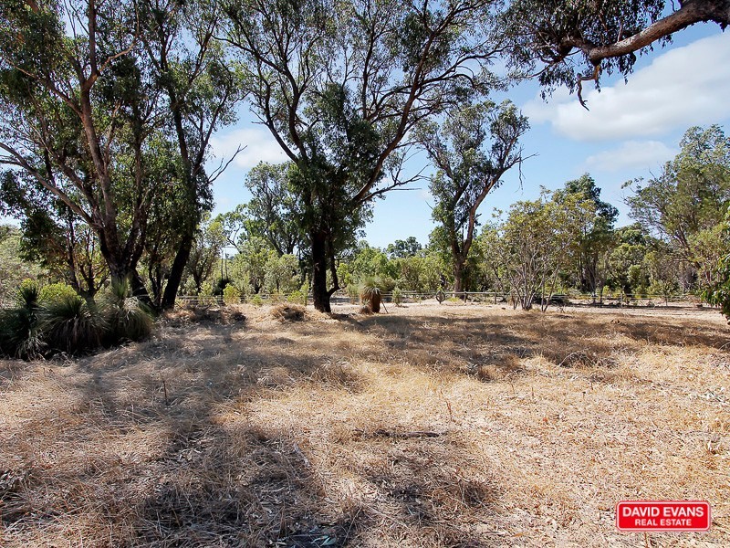 62 Bushwood Follow, Two Rocks WA 6037
