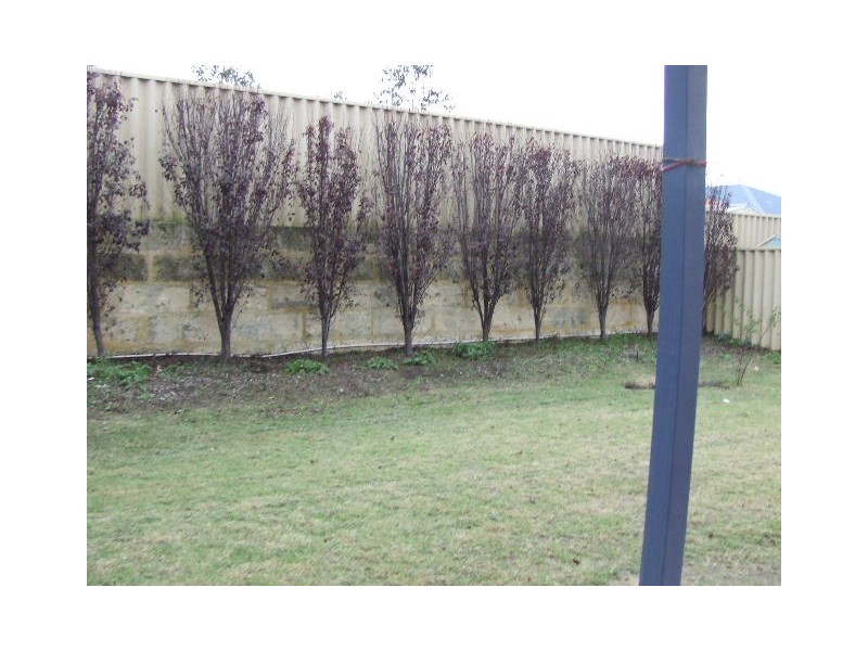 19 Eversden Crescent, Butler WA 6036