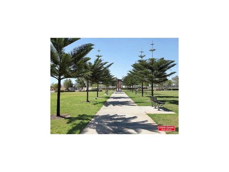 11 Carmathen Avenue, Butler WA 6036