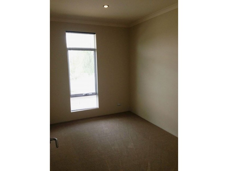 11 Carrabelle Street, Butler WA 6036