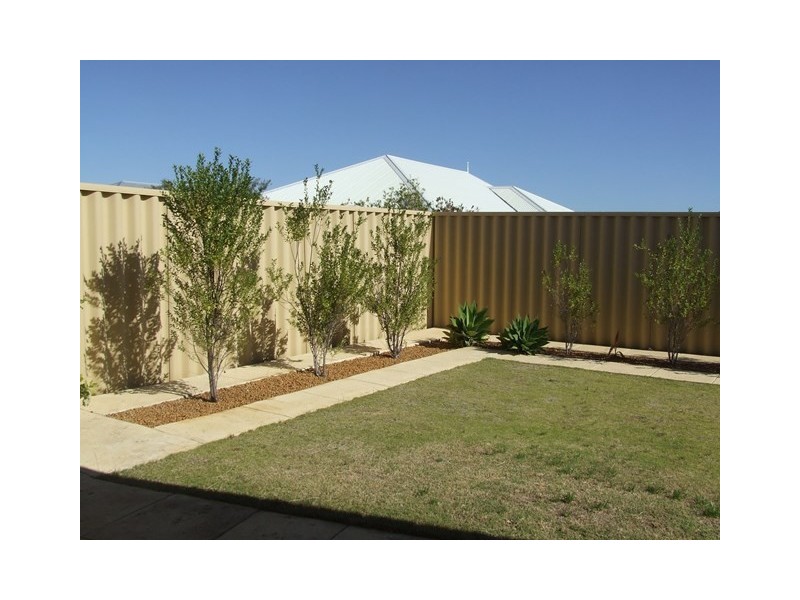 45 Thurleigh Approach, Butler WA 6036