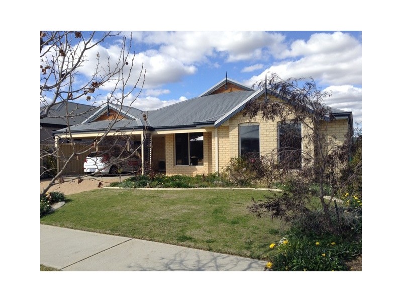 20 Pendleton Crescent, Butler WA 6036