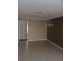 19 Tetbury Road, Butler WA 6036