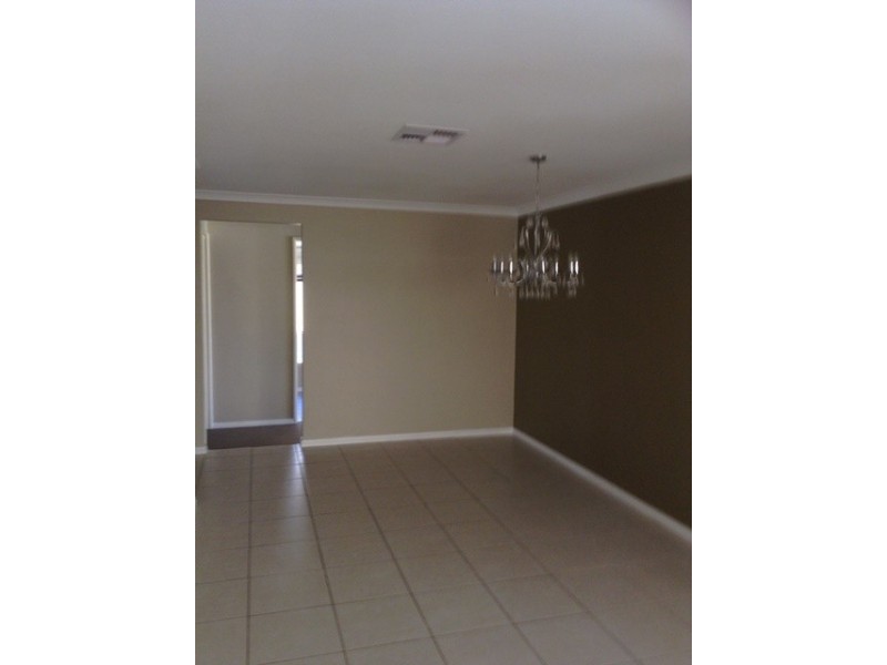 19 Tetbury Road, Butler WA 6036