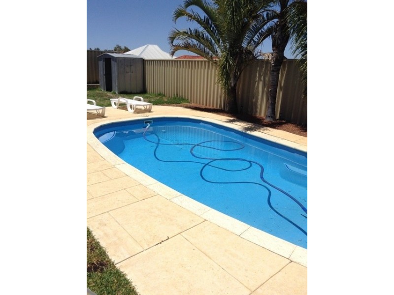 19 Tetbury Road, Butler WA 6036