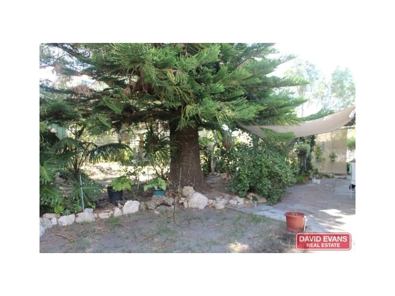 6 Abalone Place, Burns Beach WA 6028