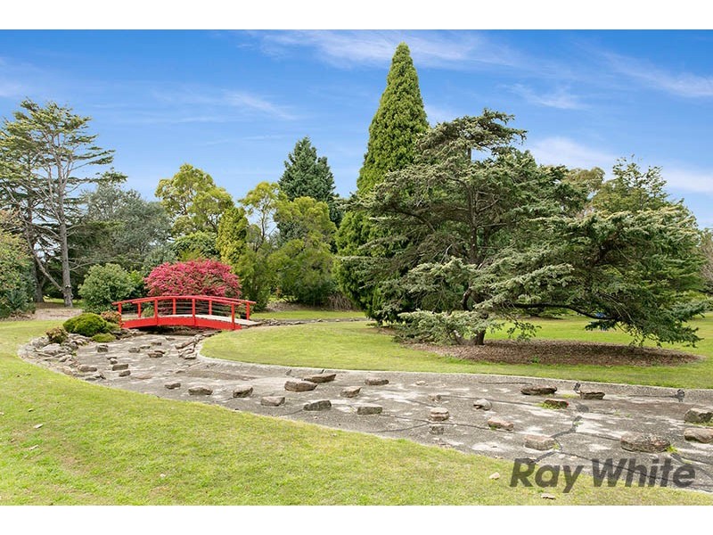 67 Lennox Street, Rockdale NSW 2216