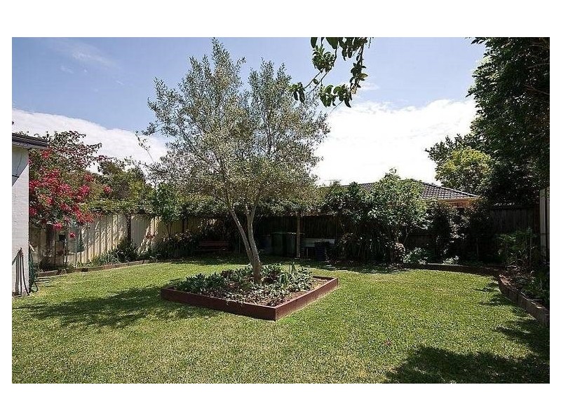 17 Young Street, Penshurst NSW 2222