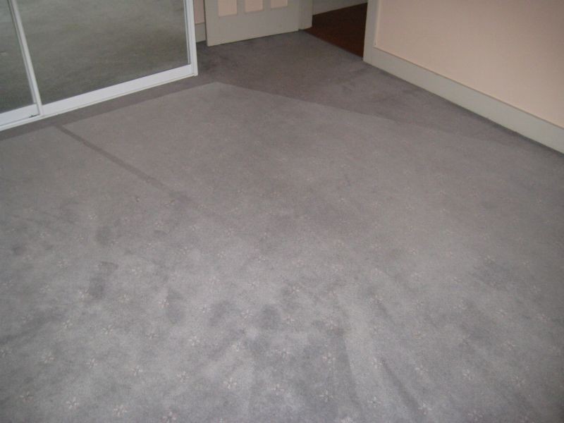 4/2 Hayburn Avenue, Rockdale NSW 2216