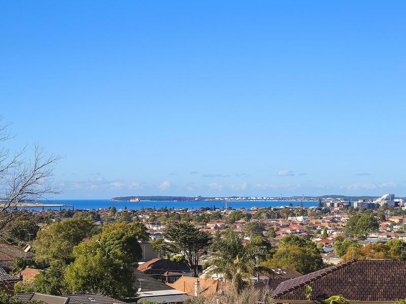 27 Mount Street, Arncliffe NSW 2205