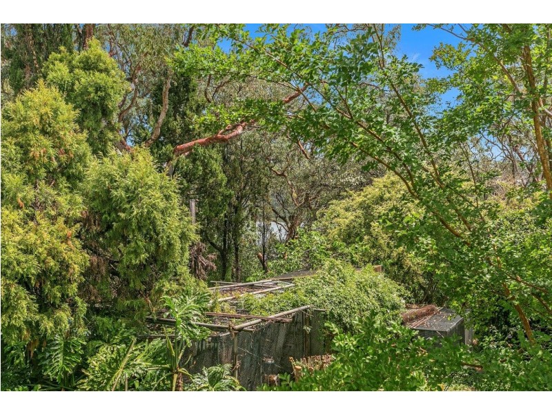 49 Belmore Road, Peakhurst NSW 2210