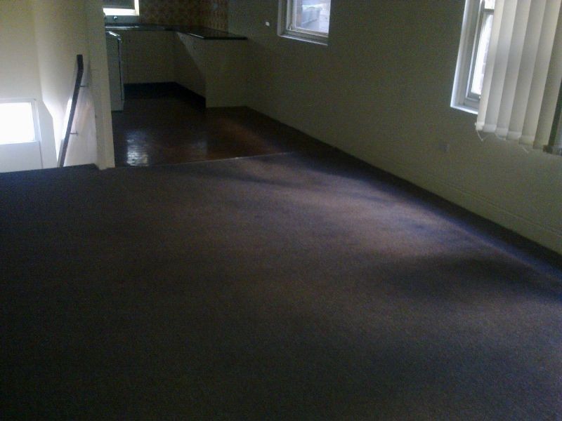 1/282 Kingsgrove Road, Kingsgrove NSW 2208