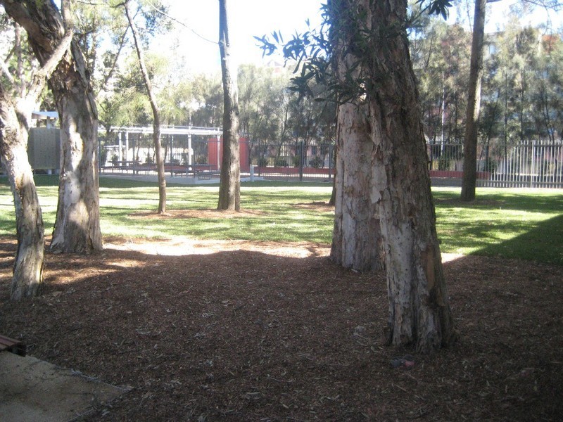 101 Bourke Street, Woolloomooloo NSW 2011