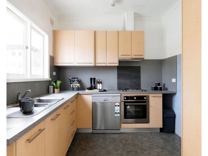 41A Hutchinson Street, St Peters NSW 2044