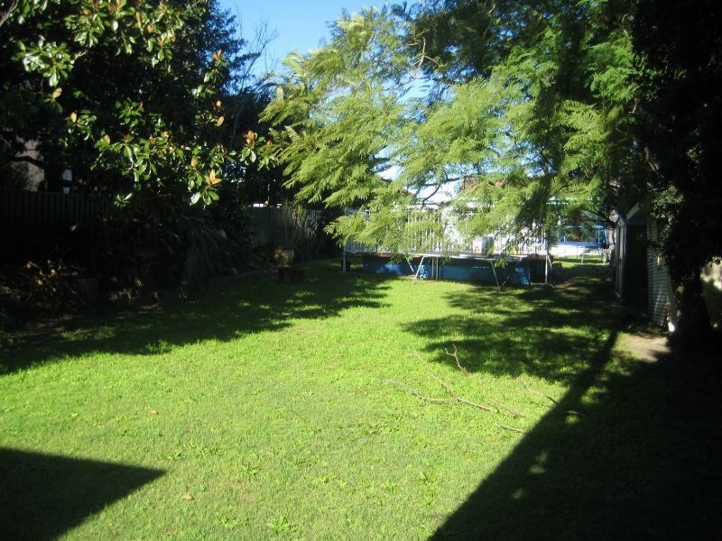 45 Wolli Avenue, Earlwood NSW 2206