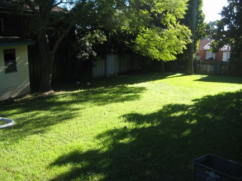 45 Wolli Avenue, Earlwood NSW 2206