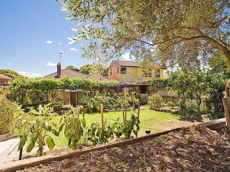 17 Monmouth Street, Randwick NSW 2031