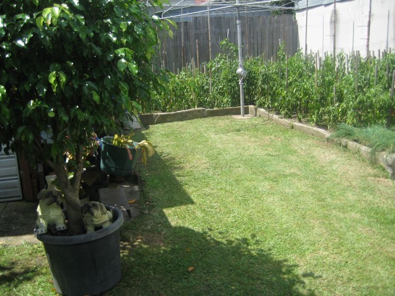 19 Hart Street, Tempe NSW 2044