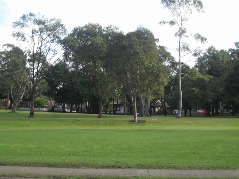 50 Dunmore Street, Bexley NSW 2207