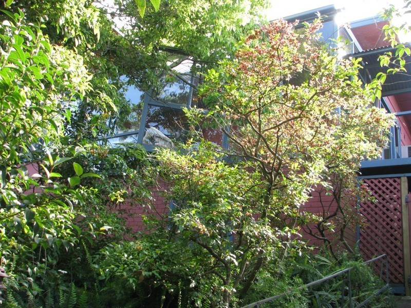 102 Queen Victoria Street, Bexley NSW 2207