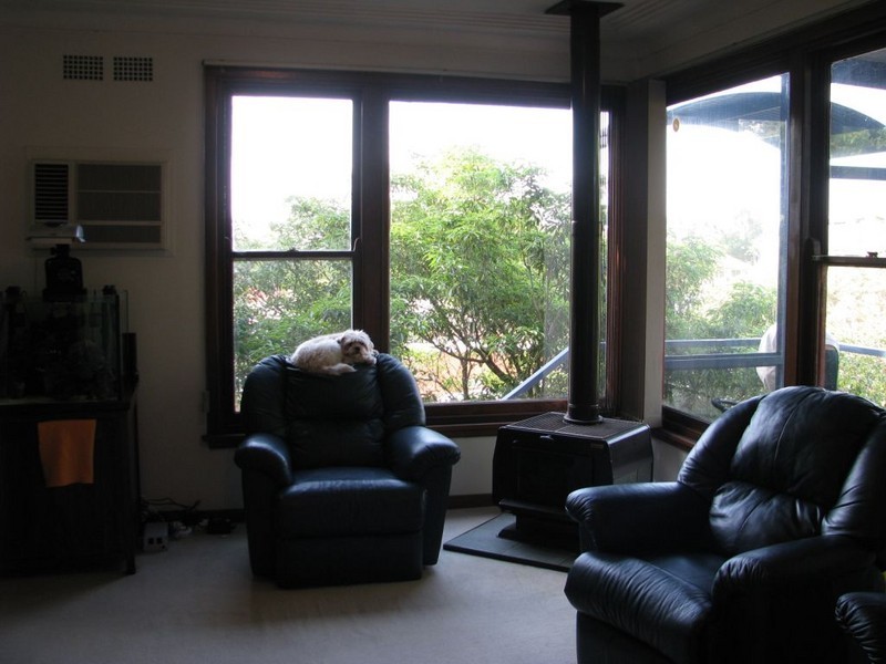 102 Queen Victoria Street, Bexley NSW 2207