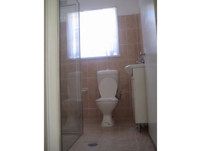 46a Grove Street, St Peters NSW 2044