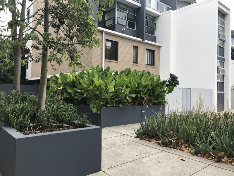 CG05/8 Loveridge Street, Alexandria NSW 2015